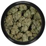 Buy slurricane for sale