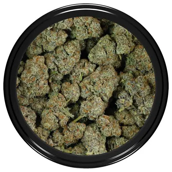 Buy slurricane for sale
