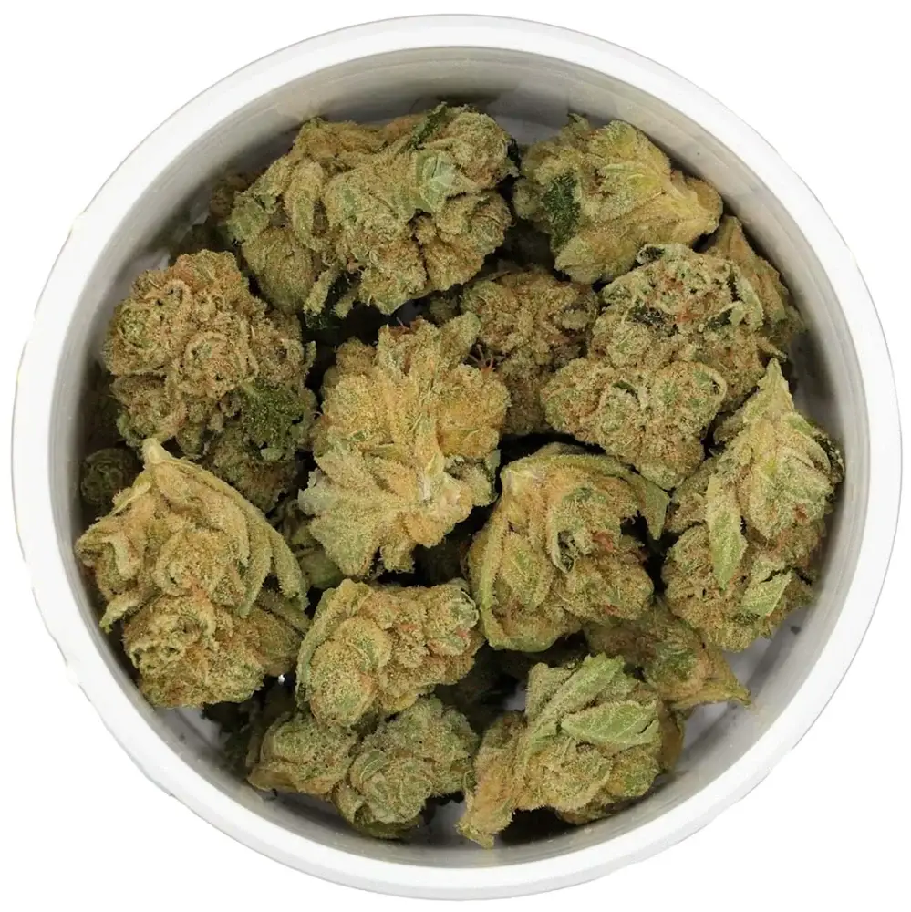 black cherry gelato for sale