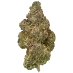 blackmaple_grande