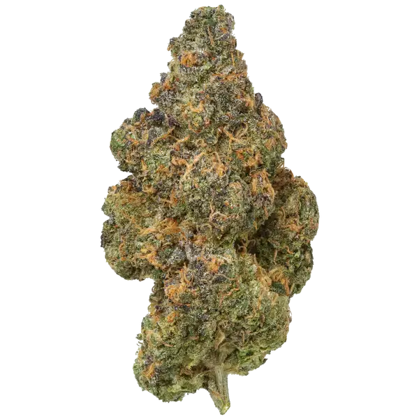blackmaple_grande