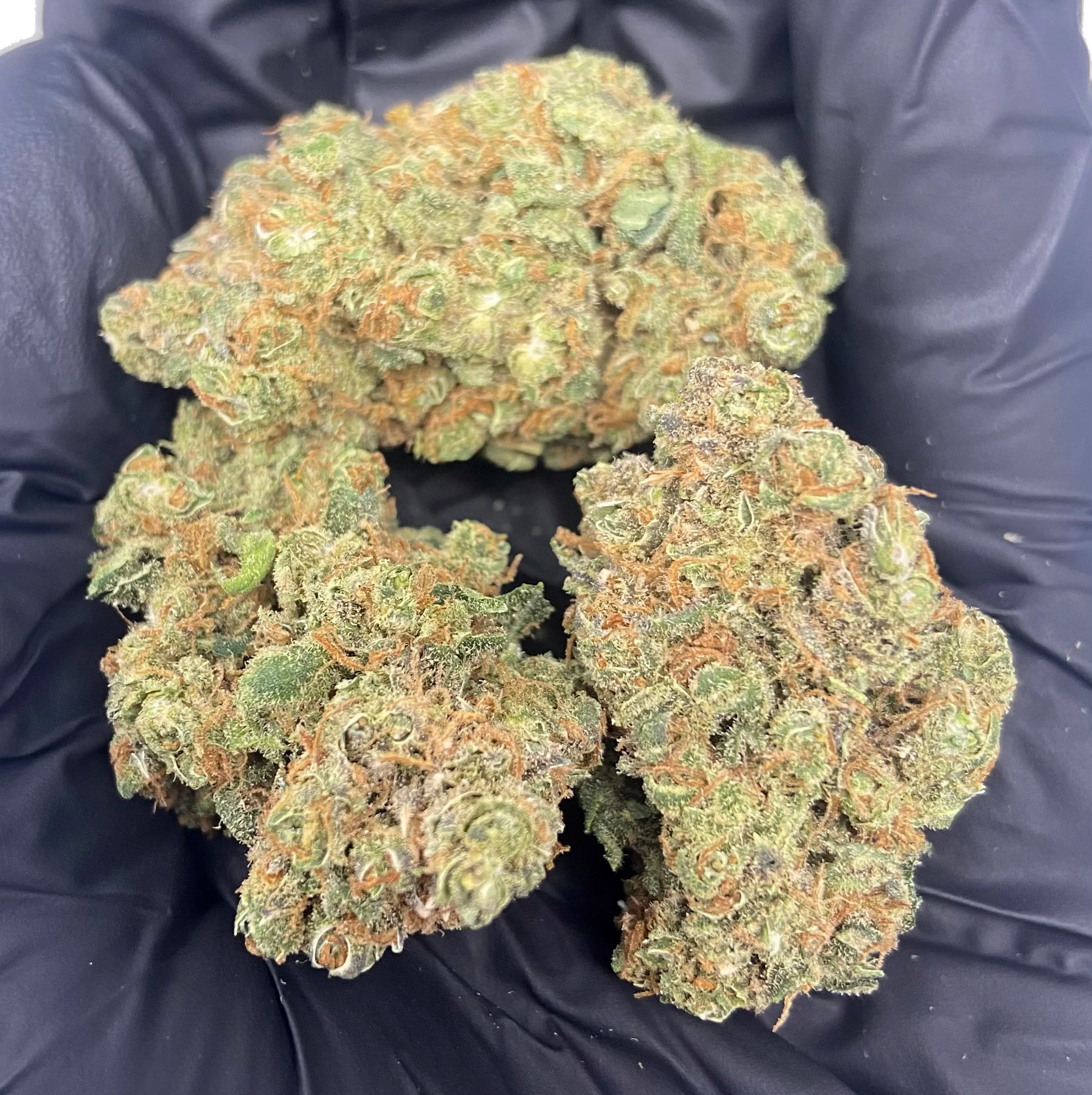 blueberry muffin strain