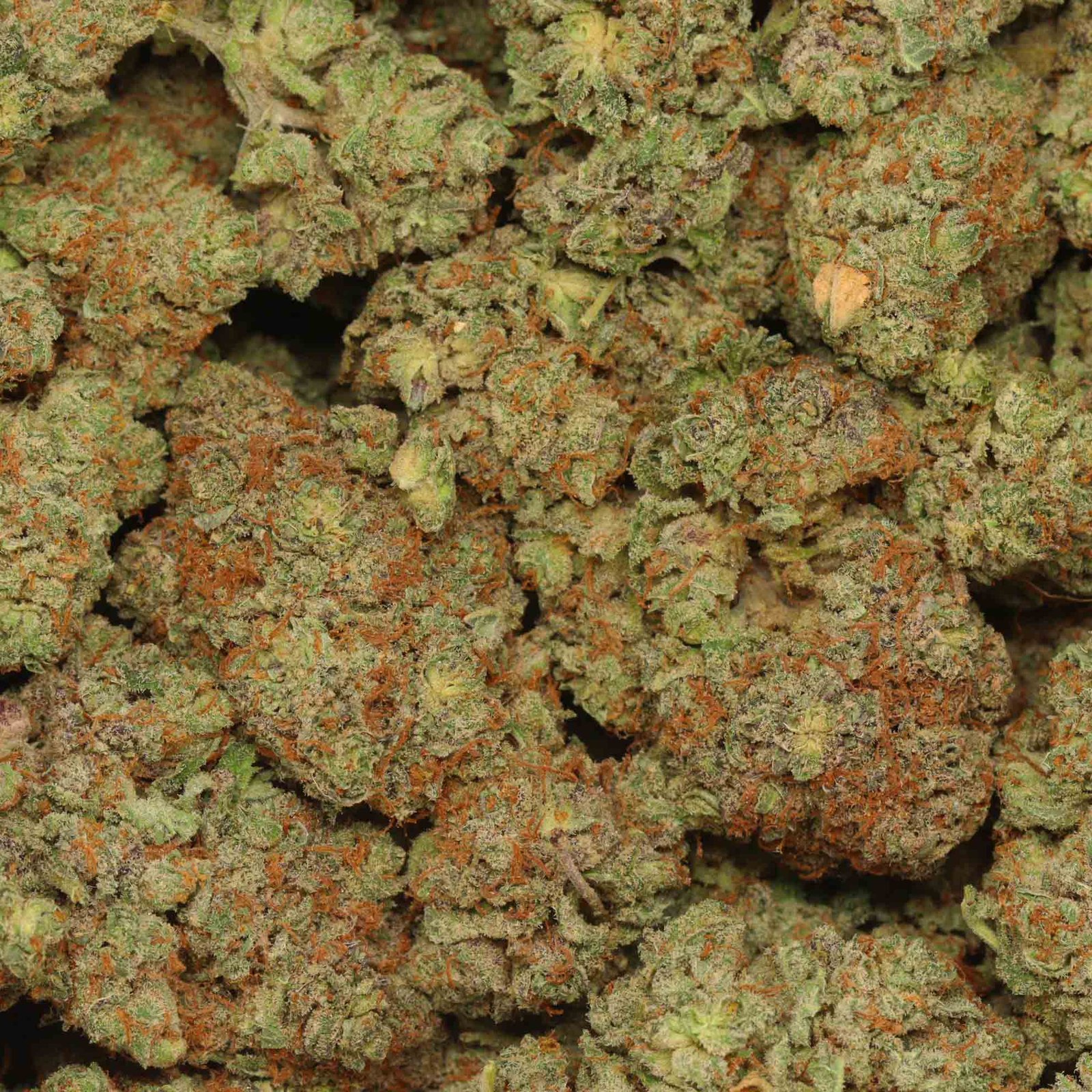 georgia pie