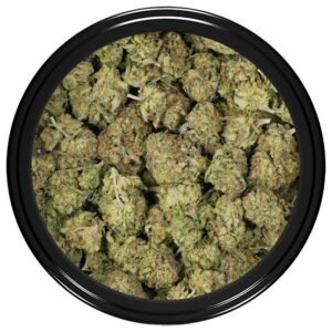 grease monkey