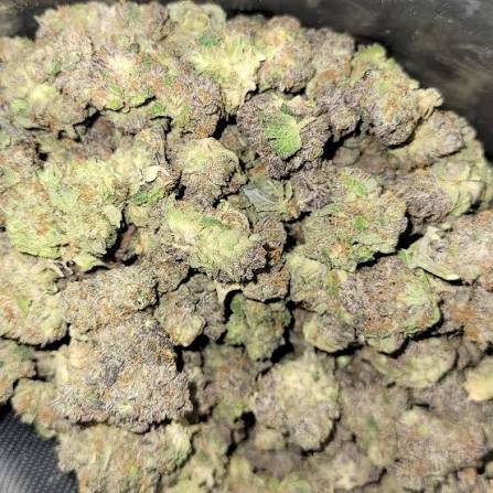 grease monkey for sale