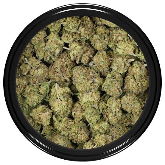 grease monkey