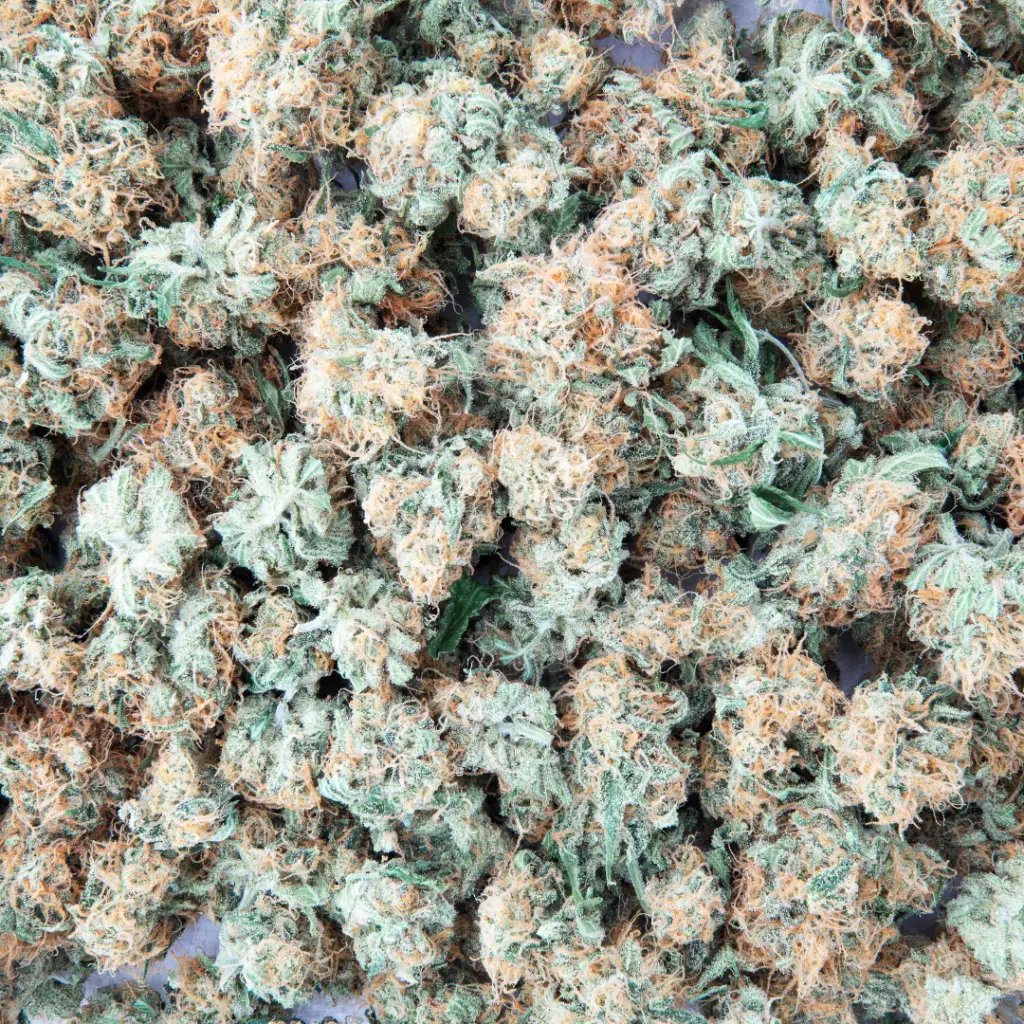 mac 1 strain