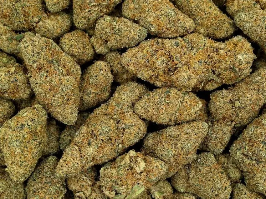 slurricane weed for sale