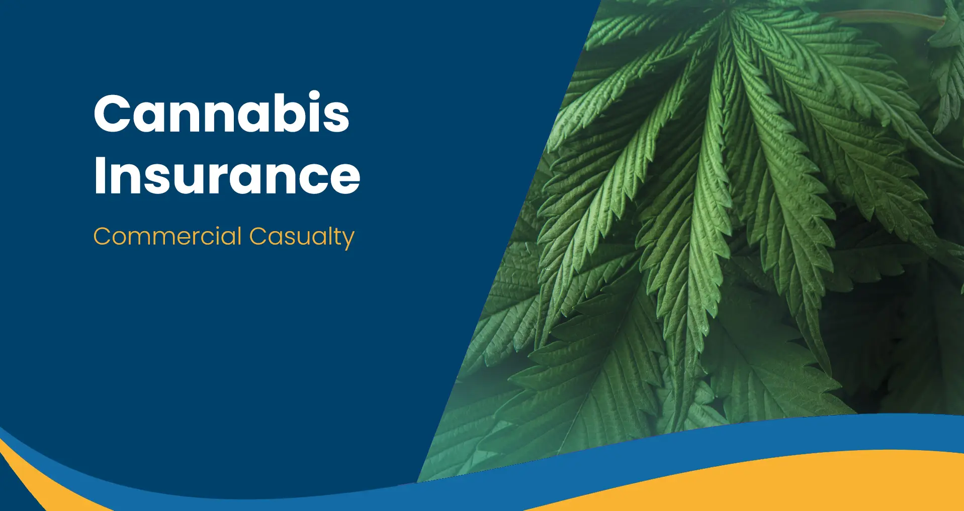 best life insurance carriers for marijuana users​