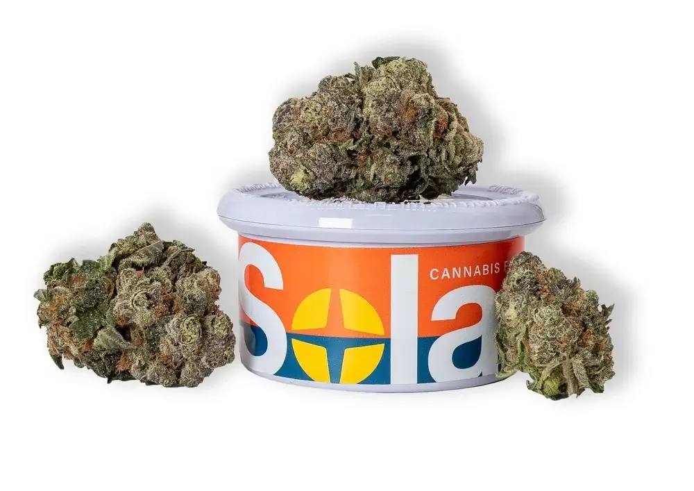 laughing gas x lemon kush mints strain​