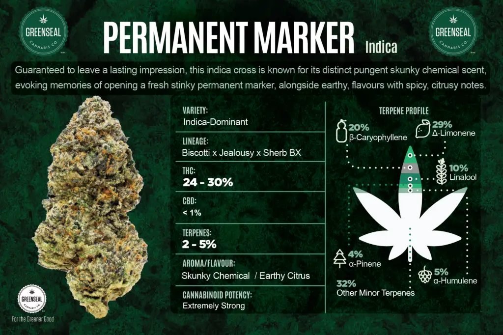 permanent marker strain indica or sativa​