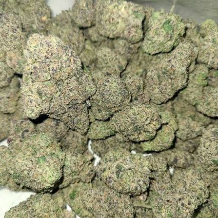 Berry Gelato Strain Indica or Sativa