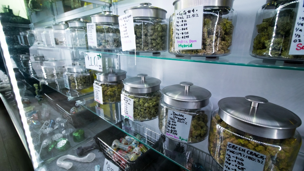 Candy Fumez strain indica or sativa available at Kushy Weed
