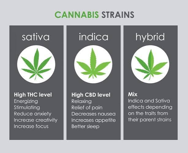 andy Fumez strain indica or sativa hybrid comparison