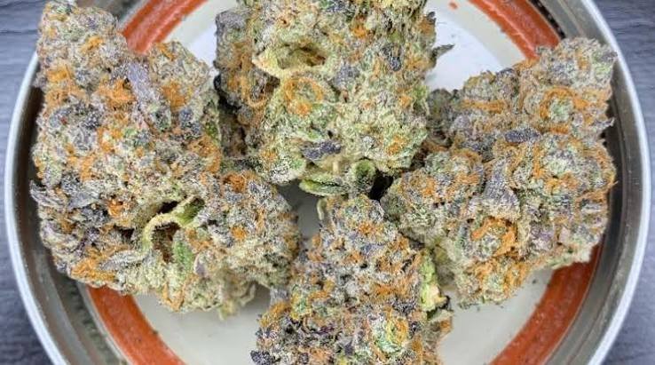 E85 strain indica or sativa
