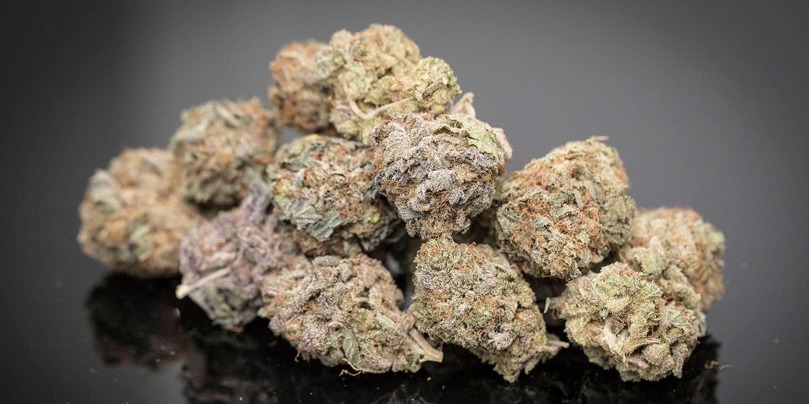 Gelato-41-Marijuana-Strain