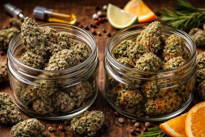 Candy Fumez strain indica or sativa terpene profile
