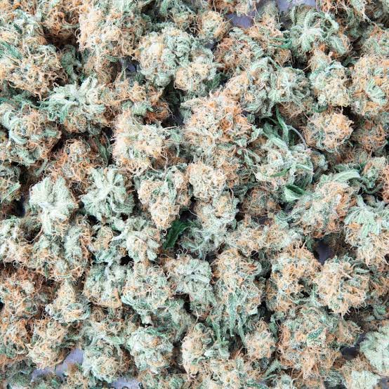 Mac 1 Strain for sale
