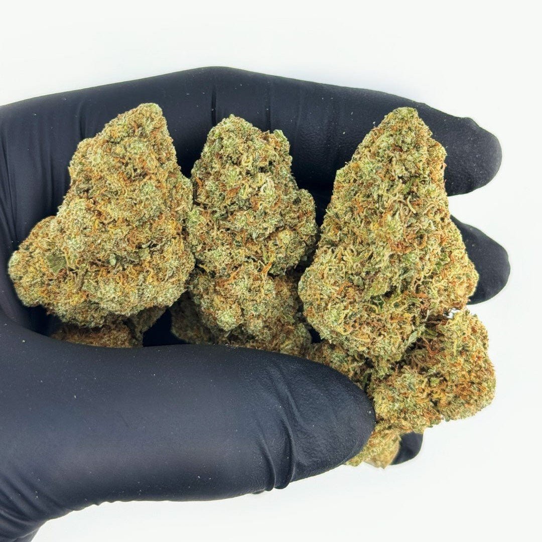 biscotti strain