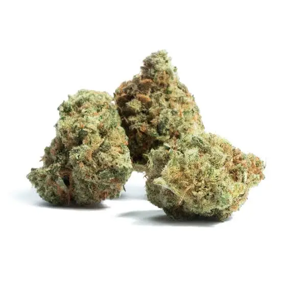 black cherry gelato strain