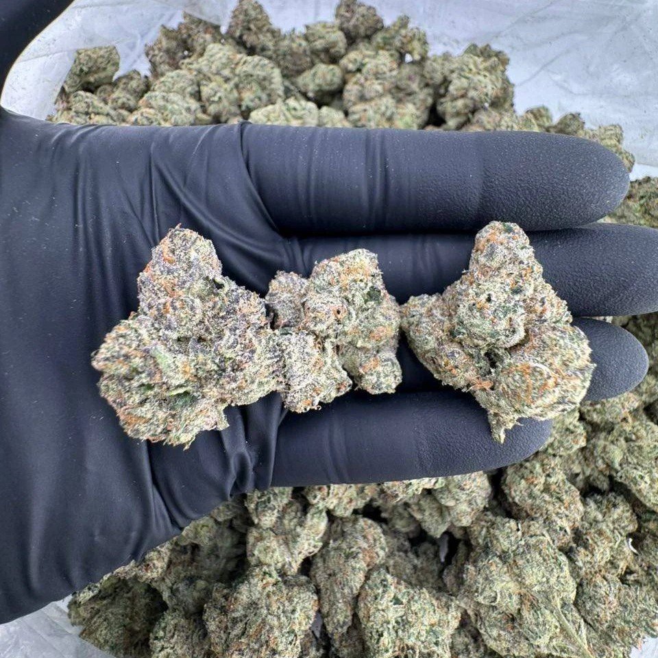 blue nerds strain