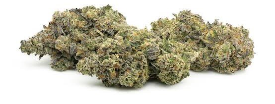 cake crasher strain indica or sativa