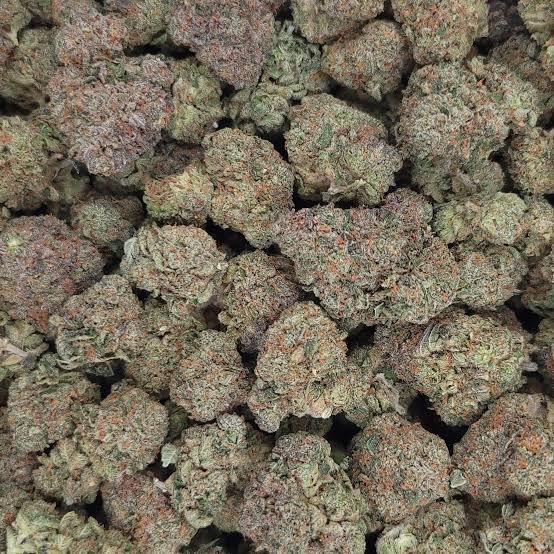 candyland strain
