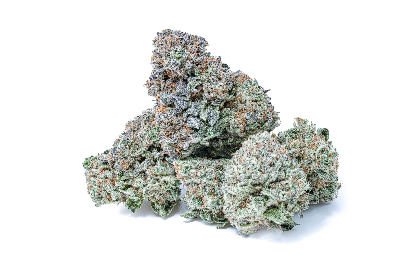 georgia pie strain
