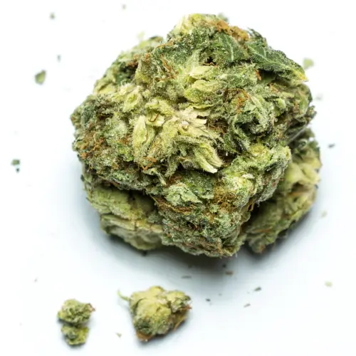 grease monkey strain