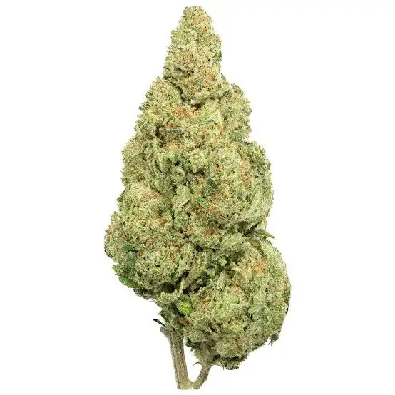 london pound cake strain