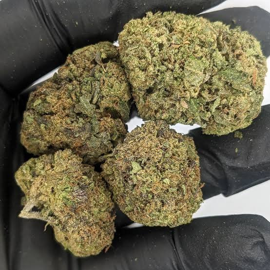 pink runtz strain