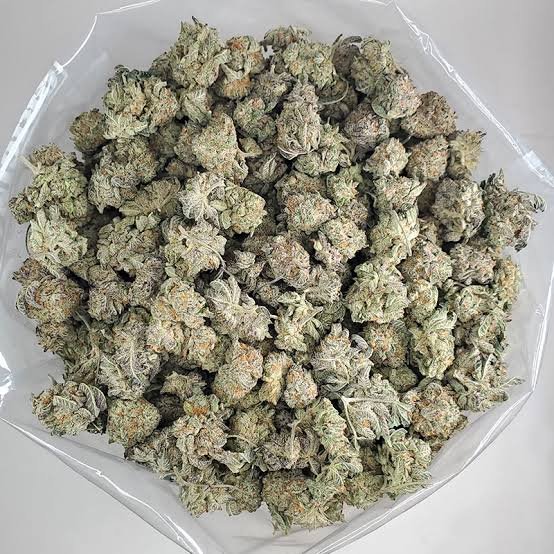 purple haze strain