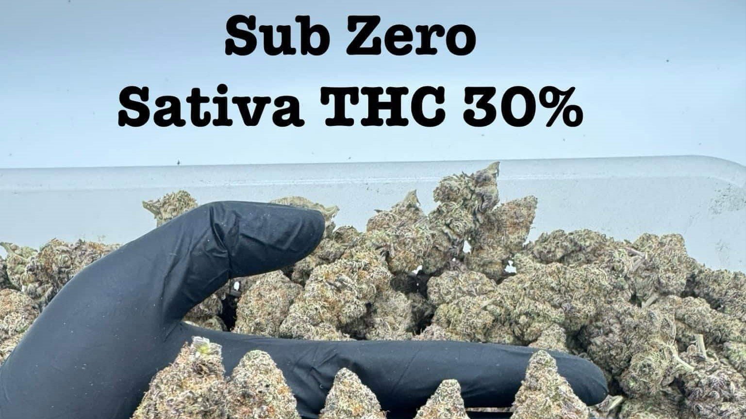 sub zero #6 cannabis strain genetics terpenes effects thc​