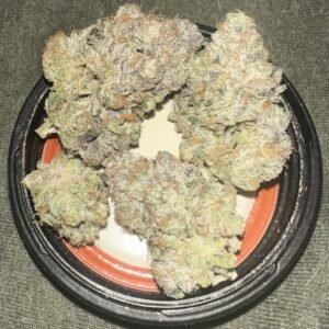 toad venom strain where to buy