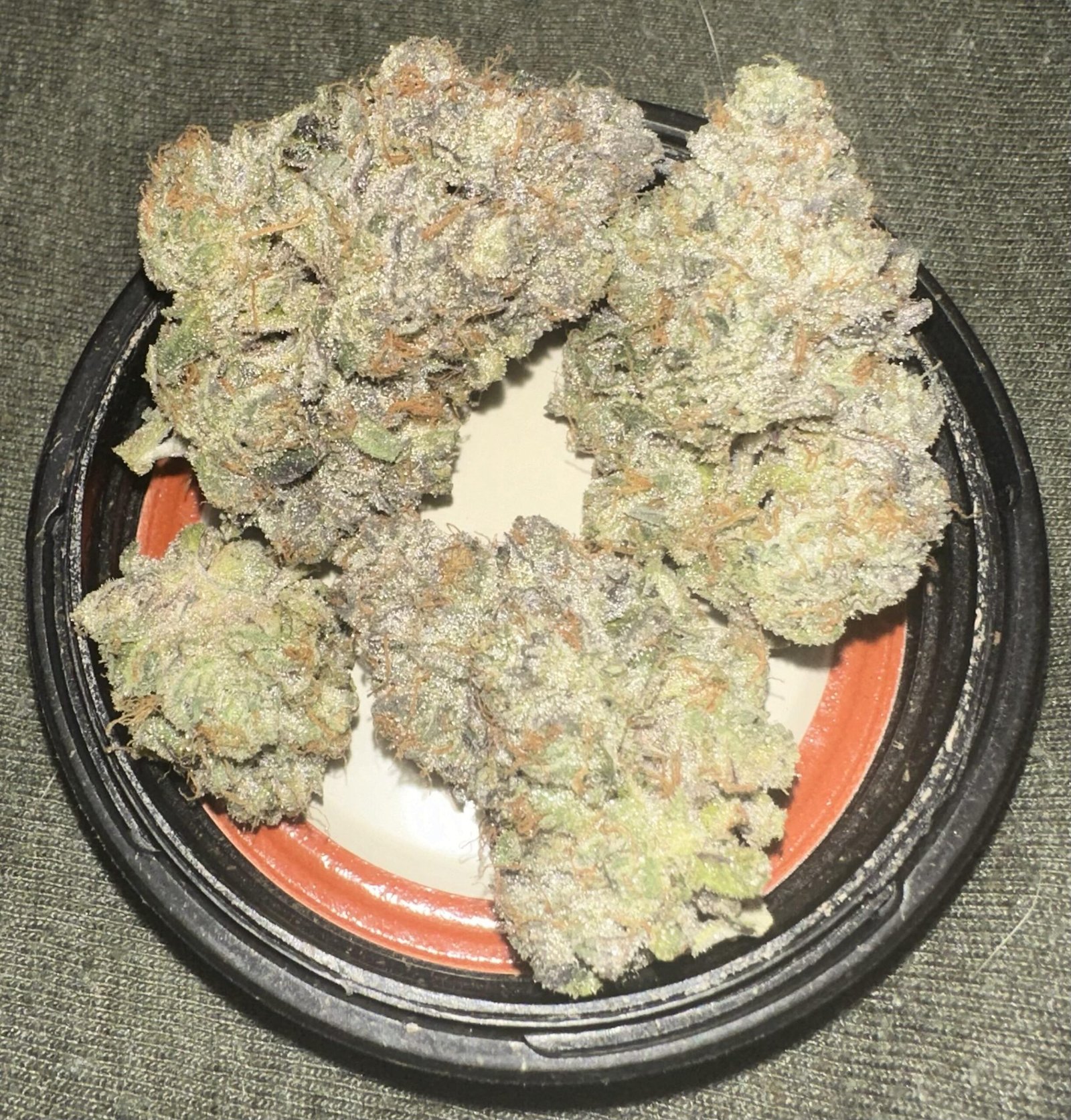 toad venom strain where to buy