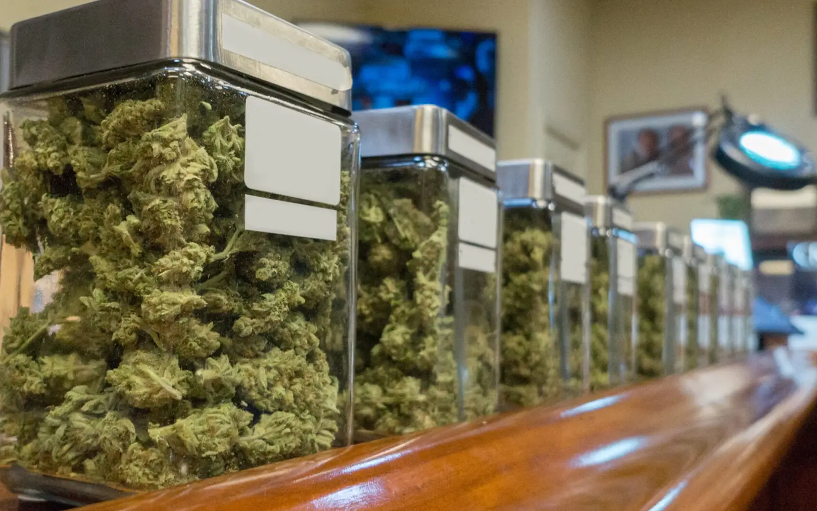 top 5 dispensaries gloucester city nj weed marijuana​