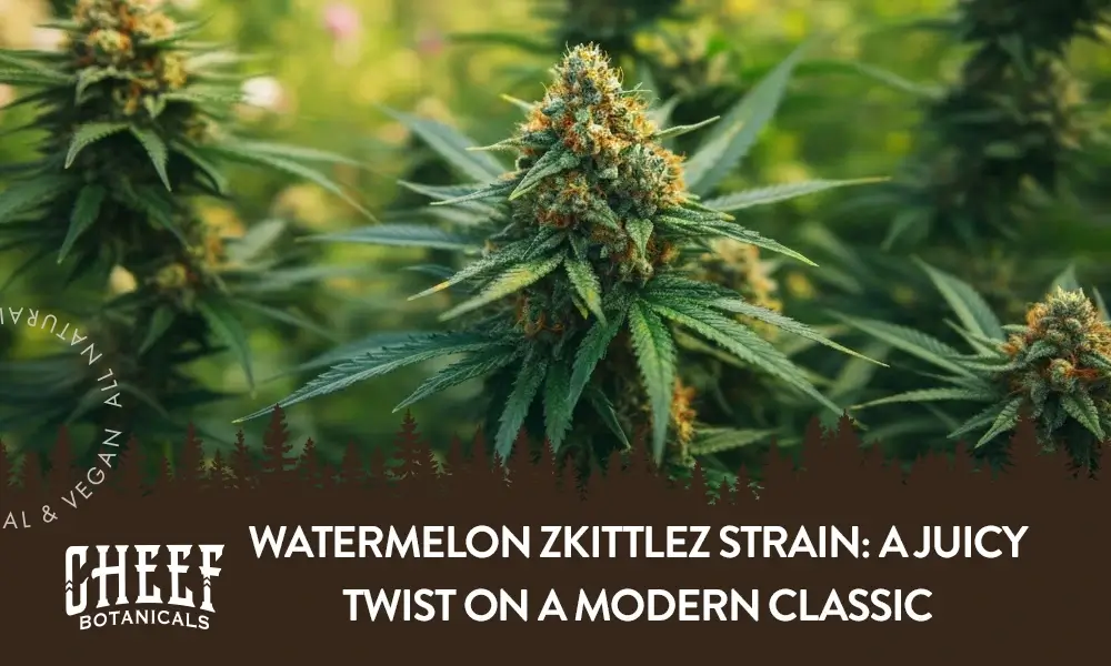 watermelon zkittlez strain indica or sativa