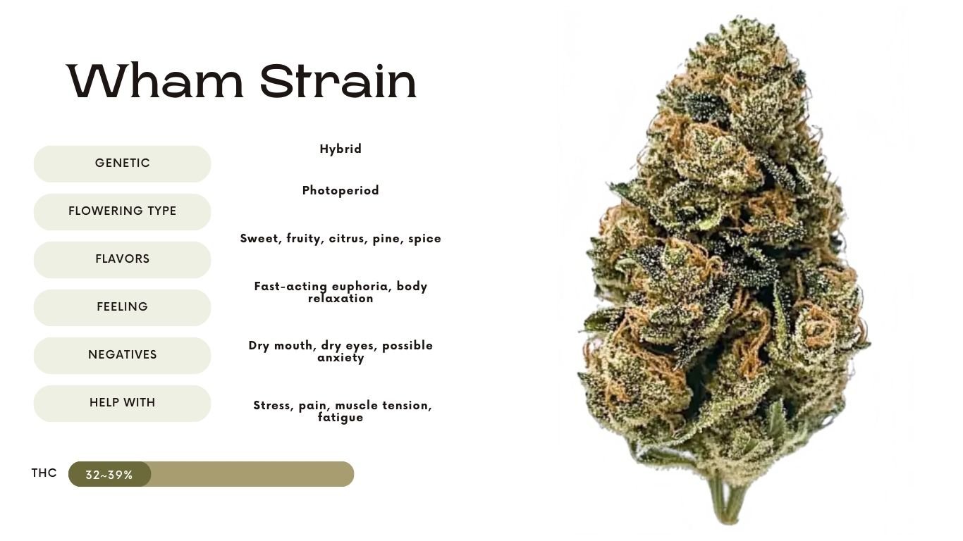 wham strain indica or sativa