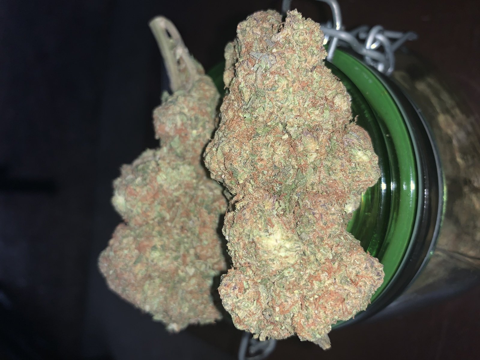 white gushers strain indica or sativa